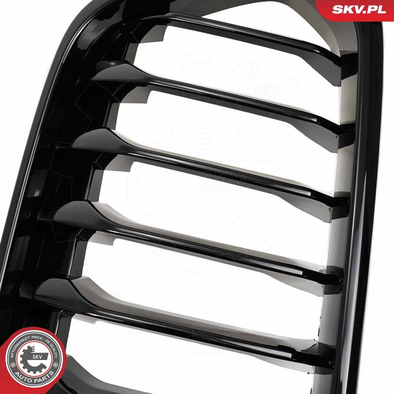 Radiaatorivõre, ESEN SKV 66SKV245