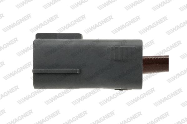 lbs00301_5309873.JPG