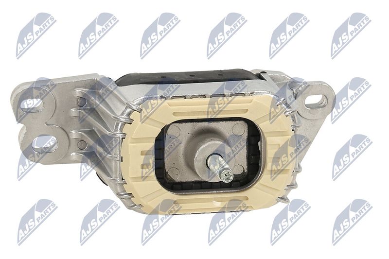 Paigutus, Mootor, NTY ZPS-PE-033