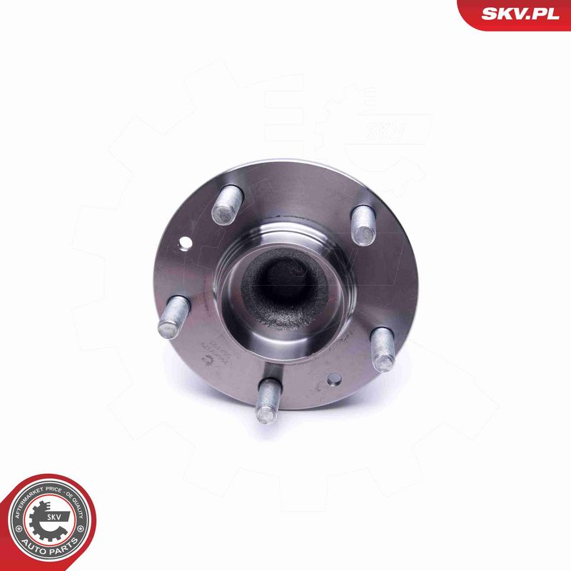 ESEN SKV 29SKV379 Wheel Bearing Kit