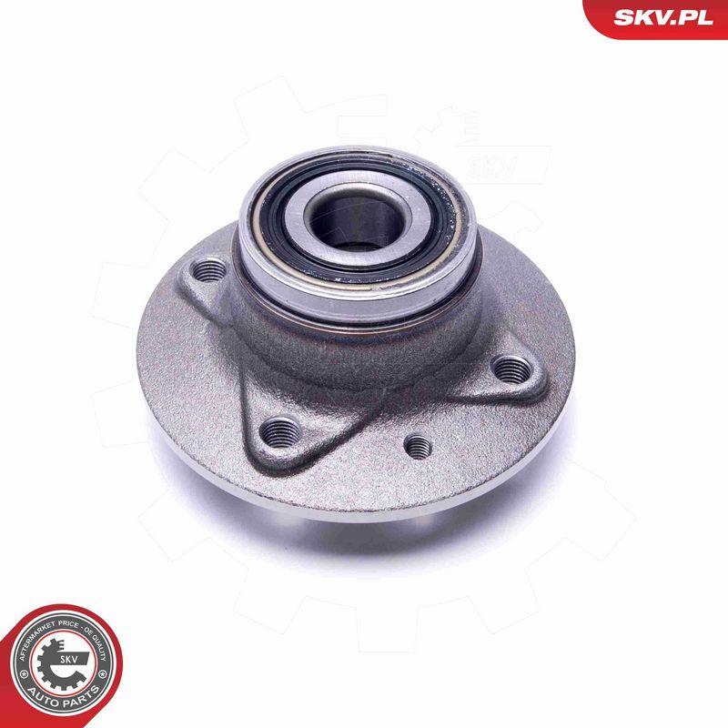 ESEN SKV 29SKV339 Wheel Bearing Kit