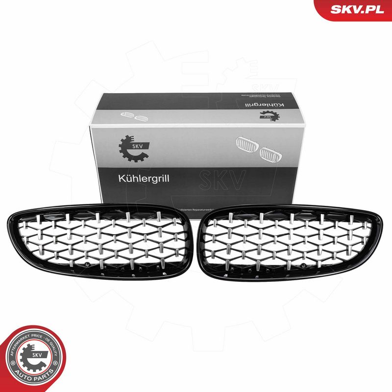 Radiaatorivõre, ESEN SKV 66SKV313