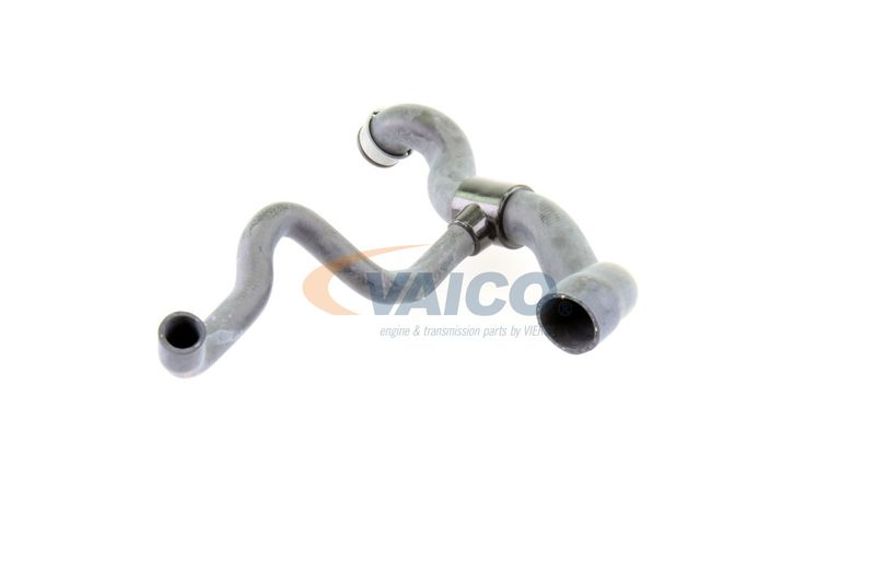 VAICO V30-1660 Radiator Hose