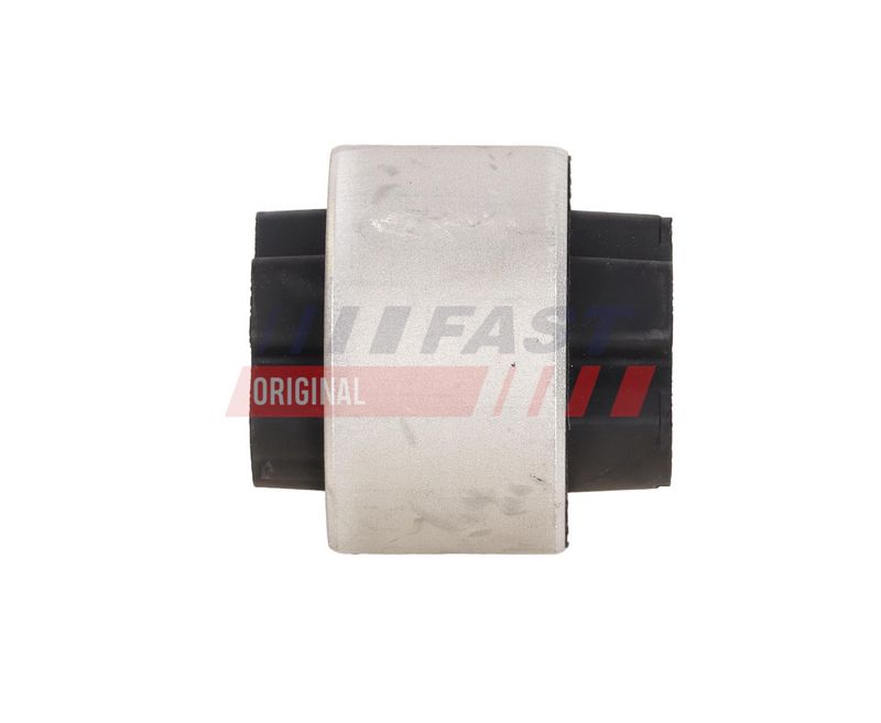 Puks, FAST FT18384