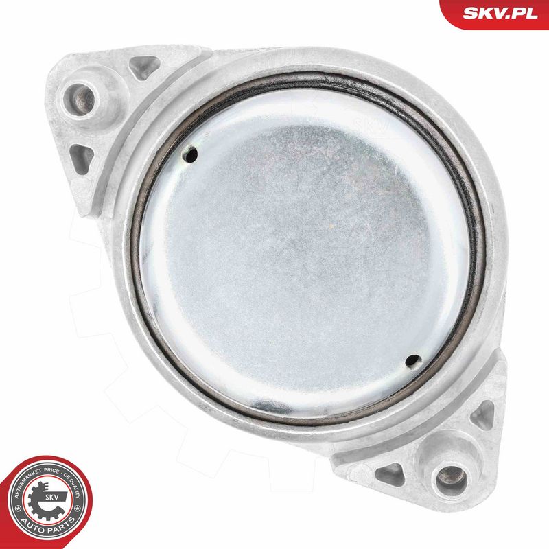 Paigutus, Mootor, ESEN SKV 75SKV066