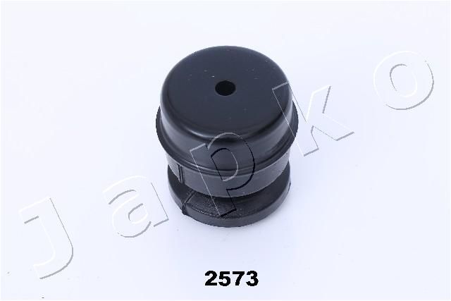 GOJ2573_2.JPG