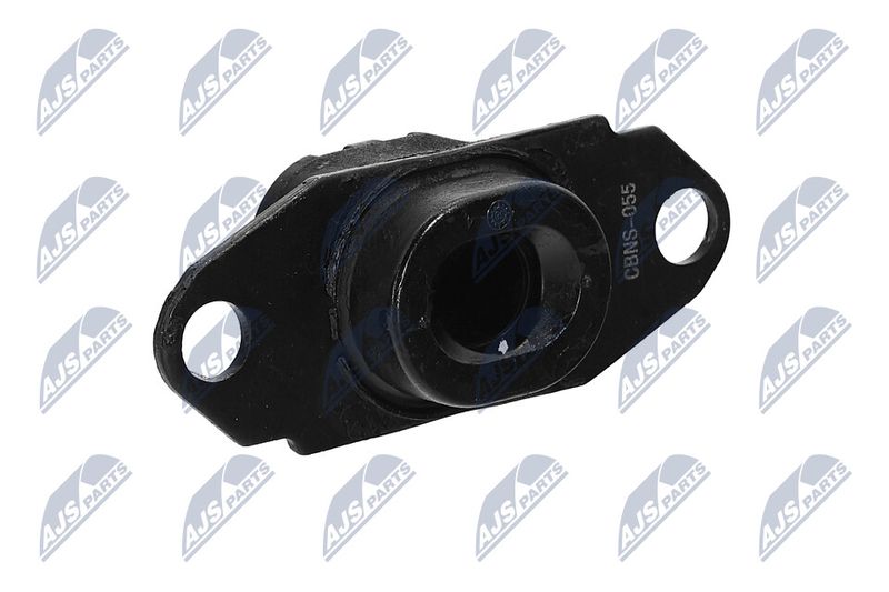 Paigutus, Mootor, NTY ZPS-NS-080