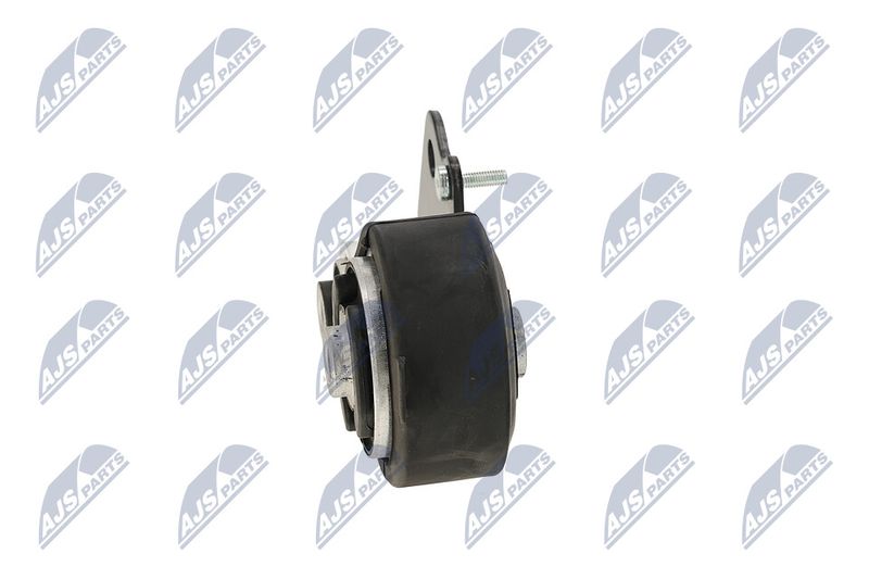 Paigutus, Mootor, NTY ZPS-CH-075