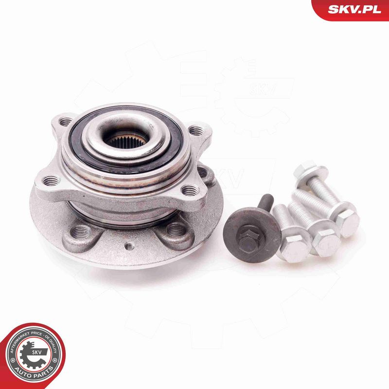 ESEN SKV 29SKV039 Wheel Bearing Kit