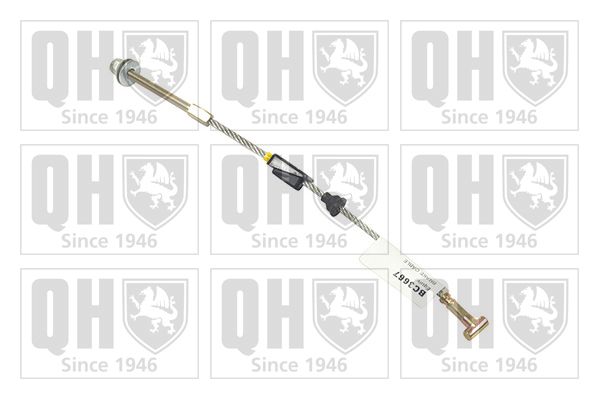 QH_BC3667.JPG