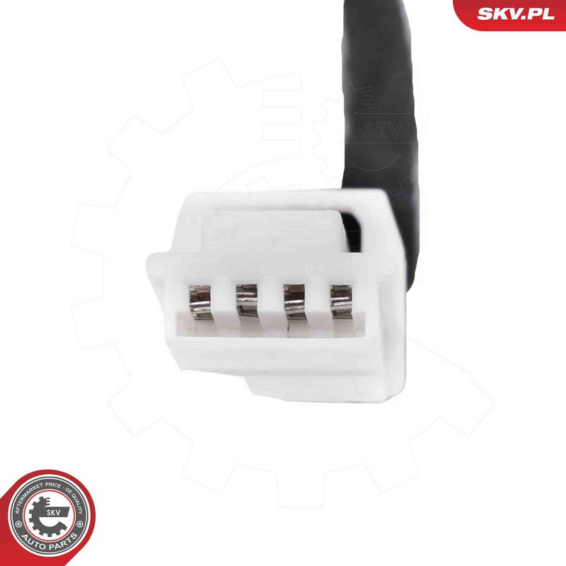 ESEN SKV 52SKV273 Electric Motor, tailgate