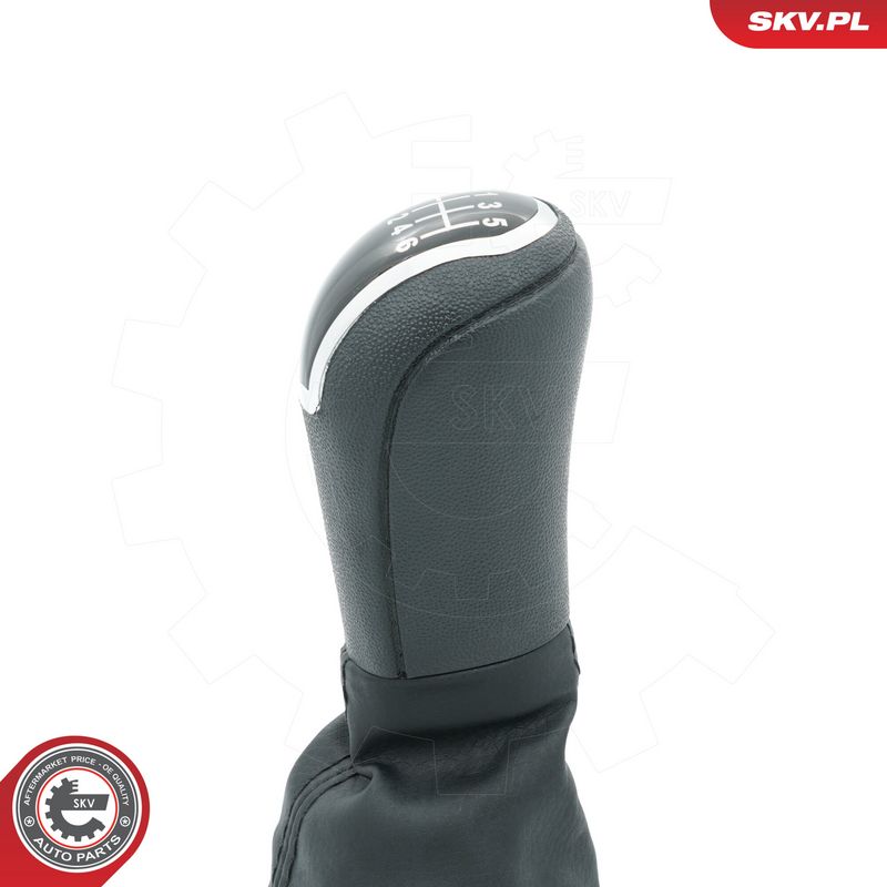Käigukanginupp, ESEN SKV 63SKV450