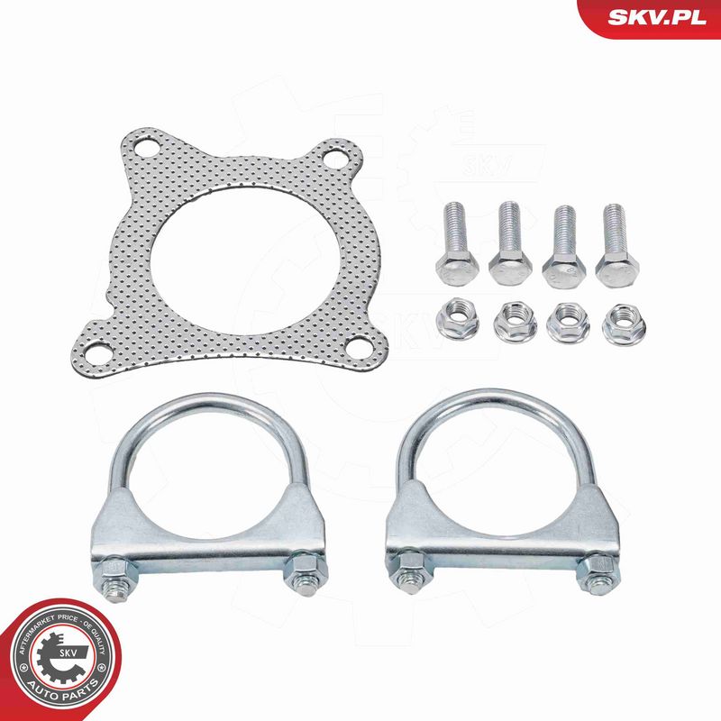 ESEN SKV 62SKV169 Catalytic Converter