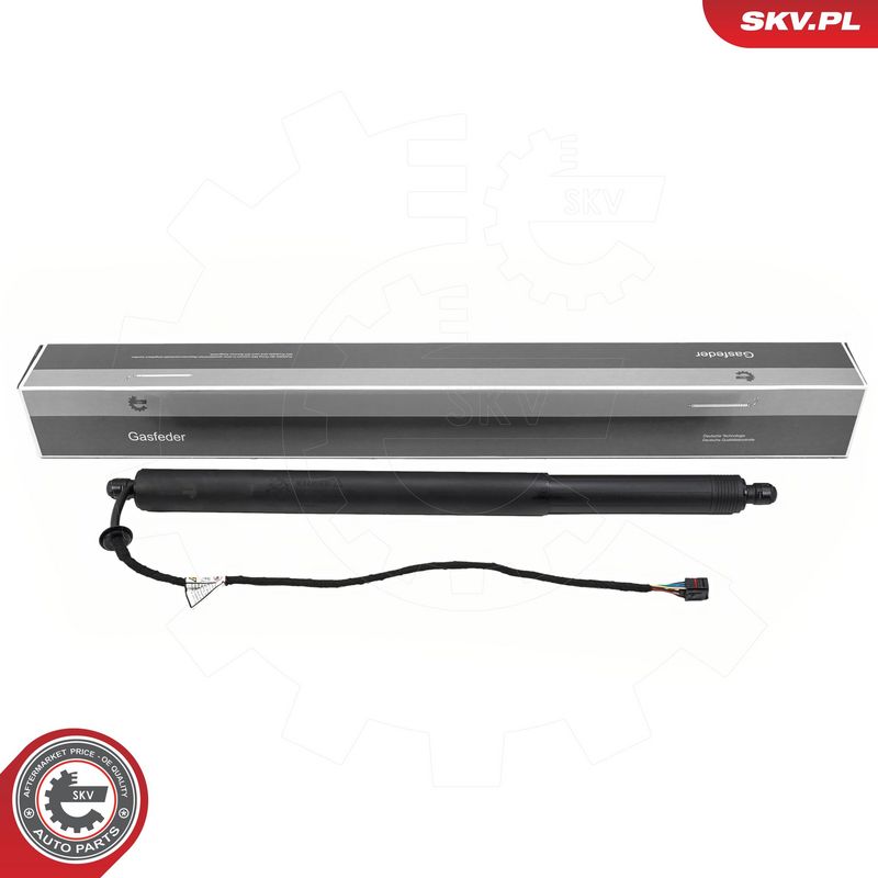 Elektrimootor, tagaluuk, ESEN SKV 52SKV281