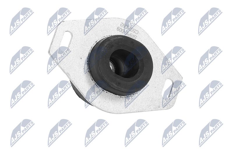 Paigutus, Mootor, NTY ZPS-PE-009