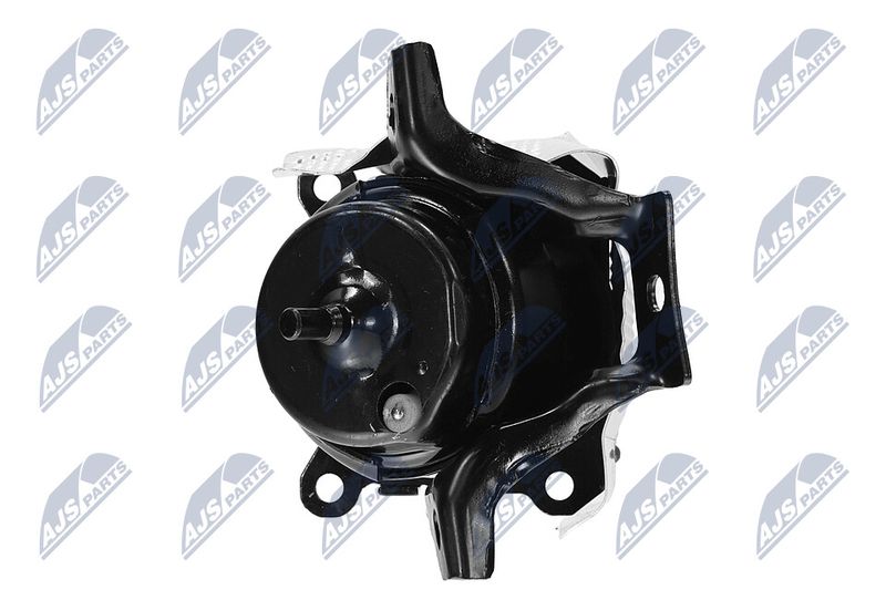 Paigutus, Mootor, NTY ZPS-CH-150