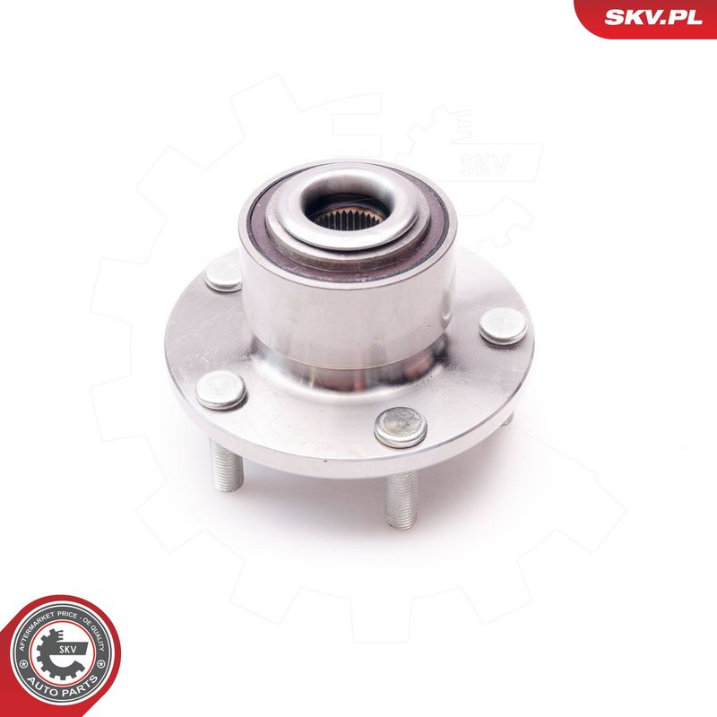 Rattalaagrikomplekt, ESEN SKV 29SKV081