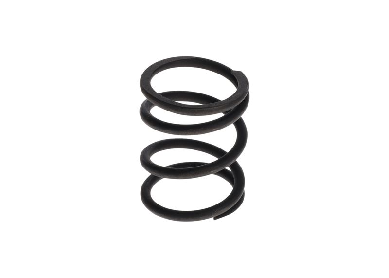 BOSCH 1 424 619 019 Spring