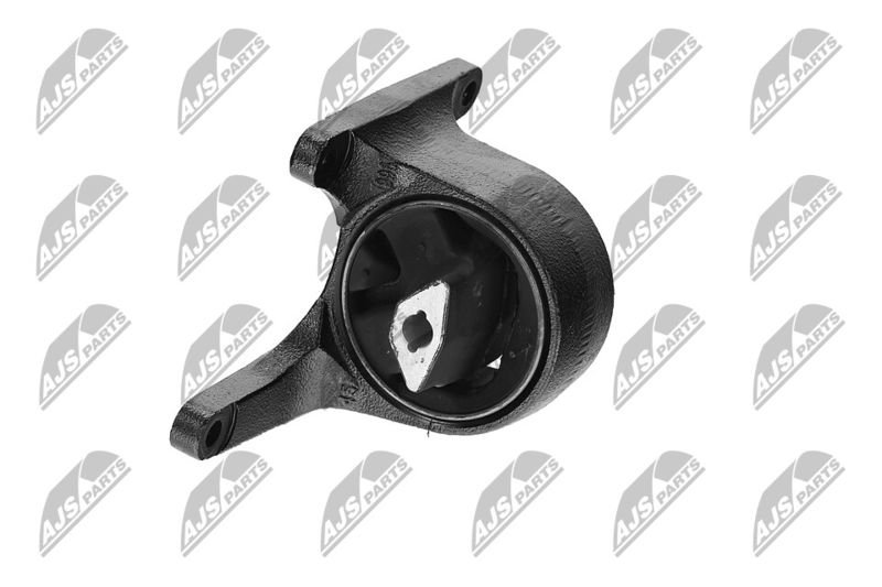 Paigutus, Mootor, NTY ZPS-CH-008