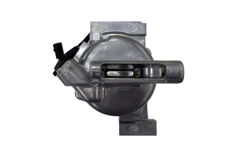 366202151_BACK_TD_1.JPG