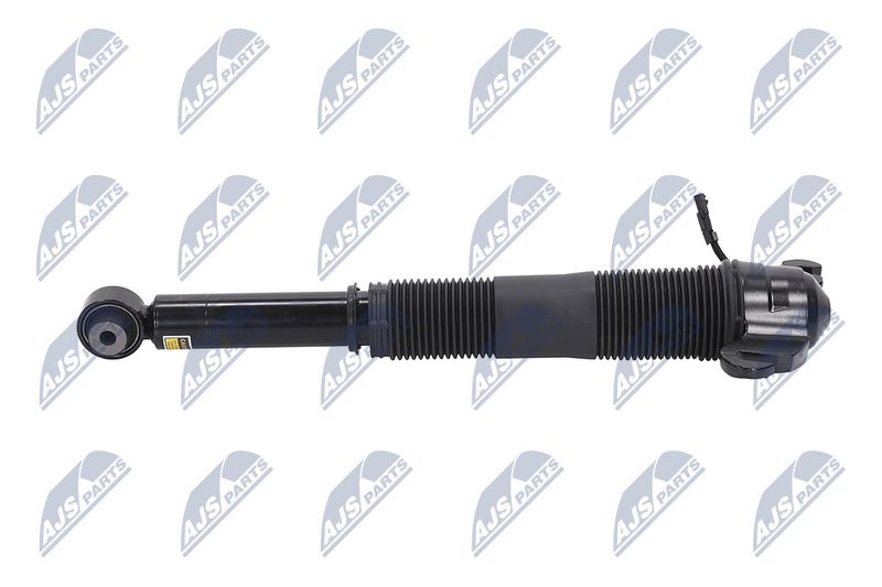 Amort, NTY A-LR-021