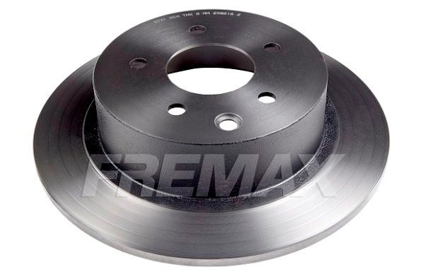 FREMAX BD-2931 Гальмівний диск