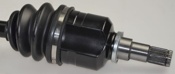 GKND12479C.JPG