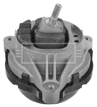 BEM4374_1800445.JPG