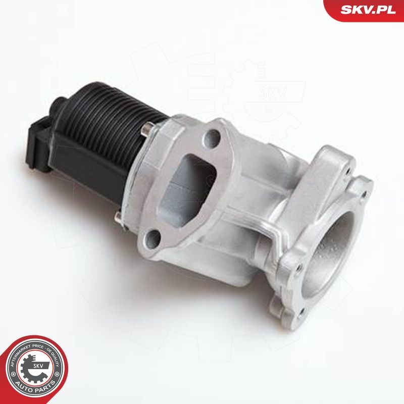 EGR-klapp, ESEN SKV 14SKV031