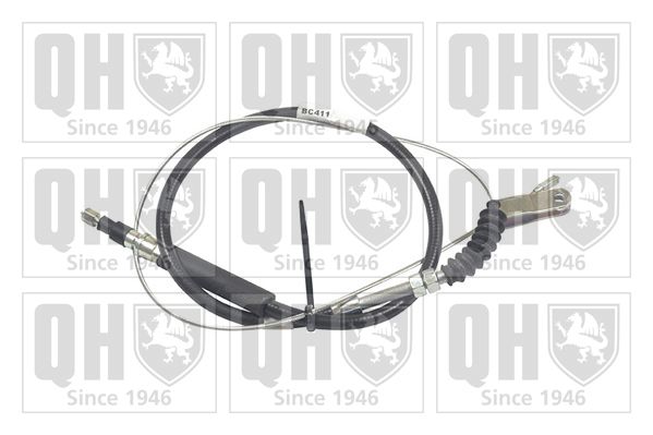 QH_BC411.JPG