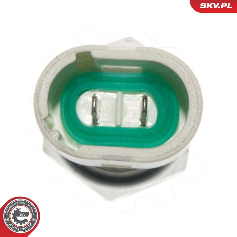 Õlisurvelülitus, Roolivõimendi, ESEN SKV 95SKV200