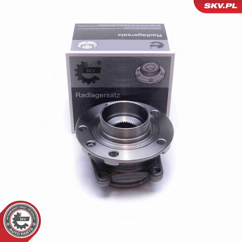 ESEN SKV 29SKV491 - Wheel Bearing Kit