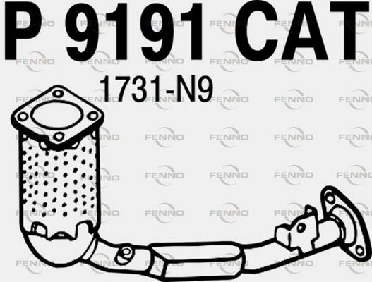 P9191CAT.JPG