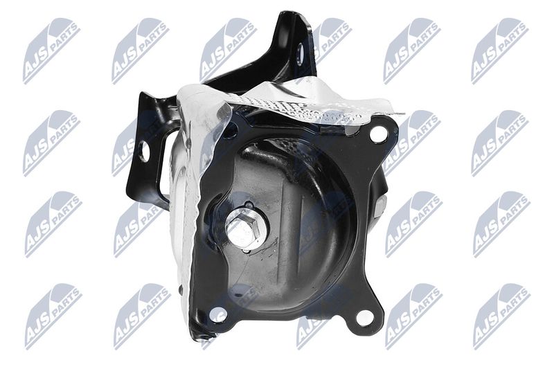 Paigutus, Mootor, NTY ZPS-CH-150