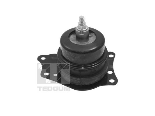 TED40385_#2.JPG