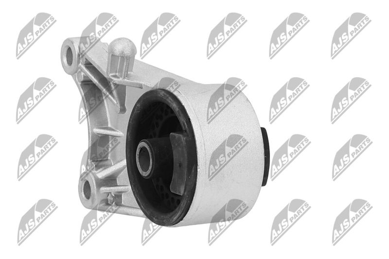 Paigutus, Mootor, NTY ZPS-PL-036