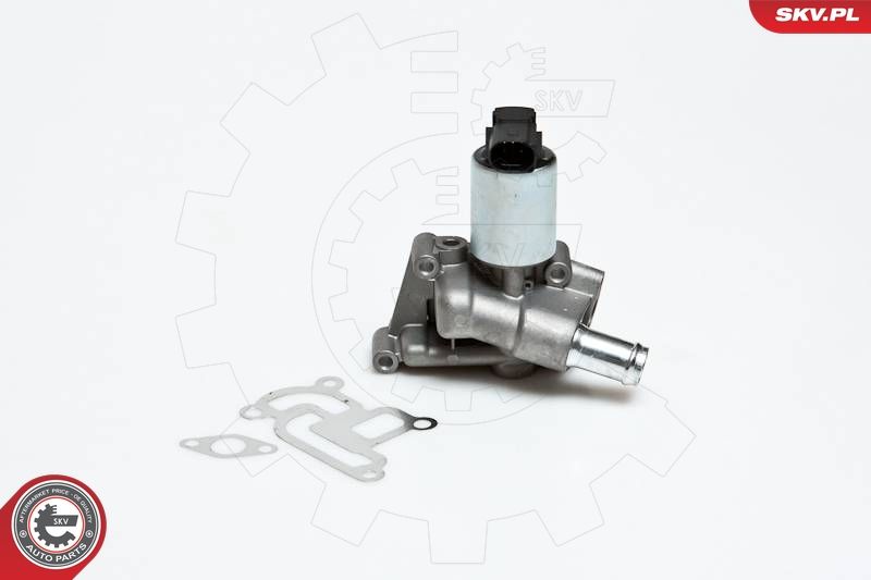 ESEN SKV 14SKV030 EGR Valve