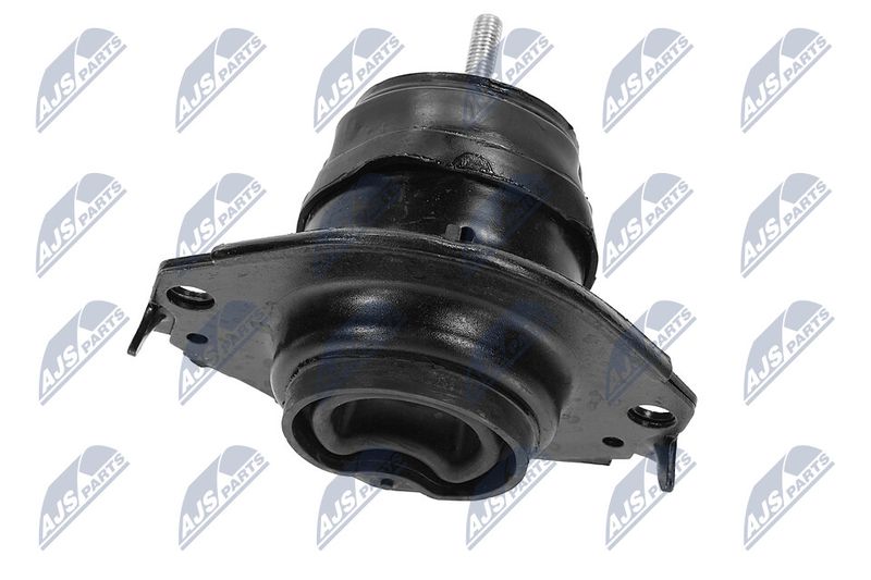 Paigutus, Mootor, NTY ZPS-CH-091