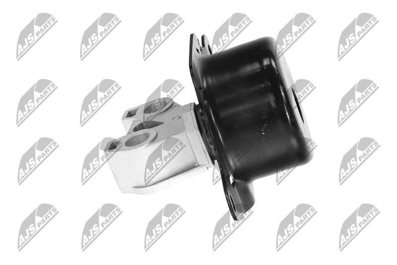 Paigutus, Mootor, NTY ZPS-PL-053