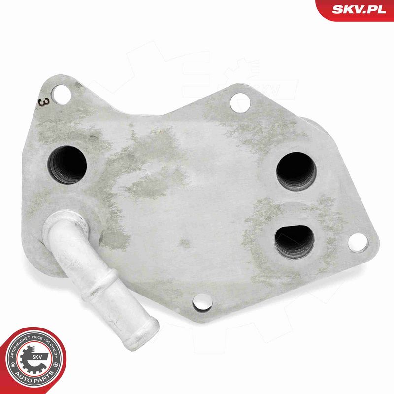 ESEN SKV 31SKV290 Oil Cooler, engine oil
