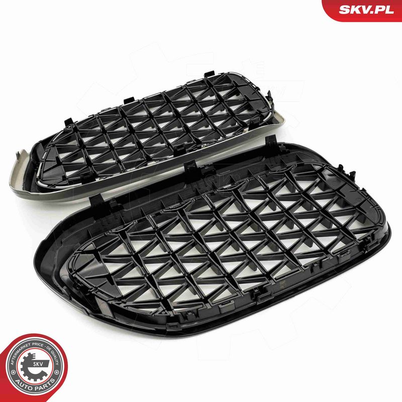 ESEN SKV 66SKV200 Radiator Grille