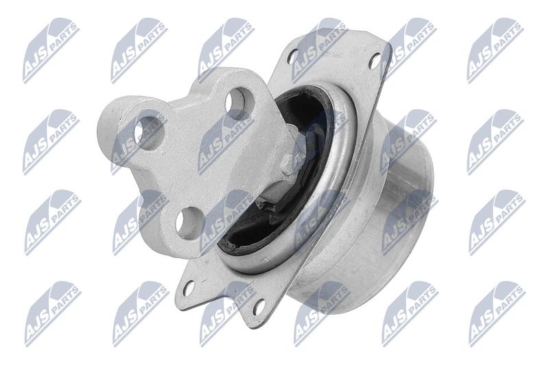 Paigutus, Mootor, NTY ZPS-PL-025