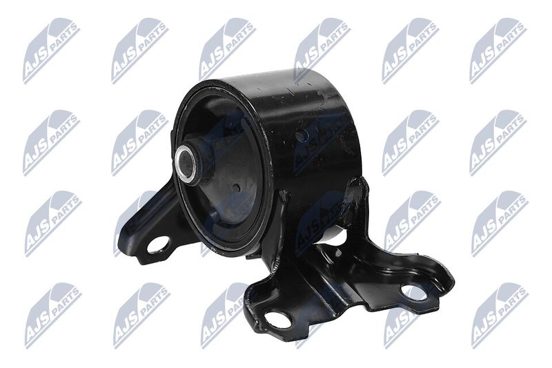 Paigutus, Mootor, NTY ZPS-CH-179