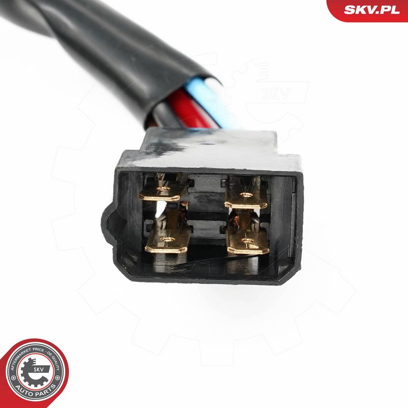 Roolilukk, ESEN SKV 65SKV556