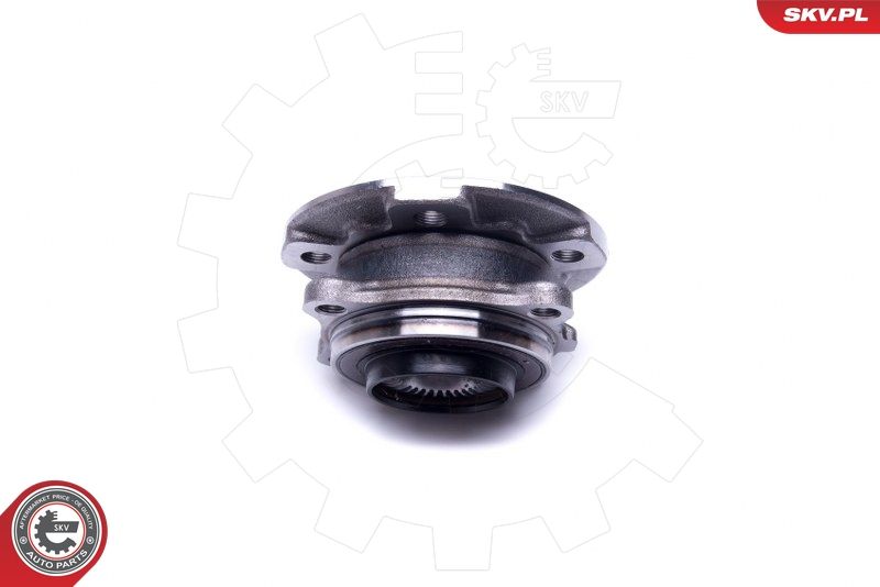 ESEN SKV 29SKV366 Wheel Bearing Kit