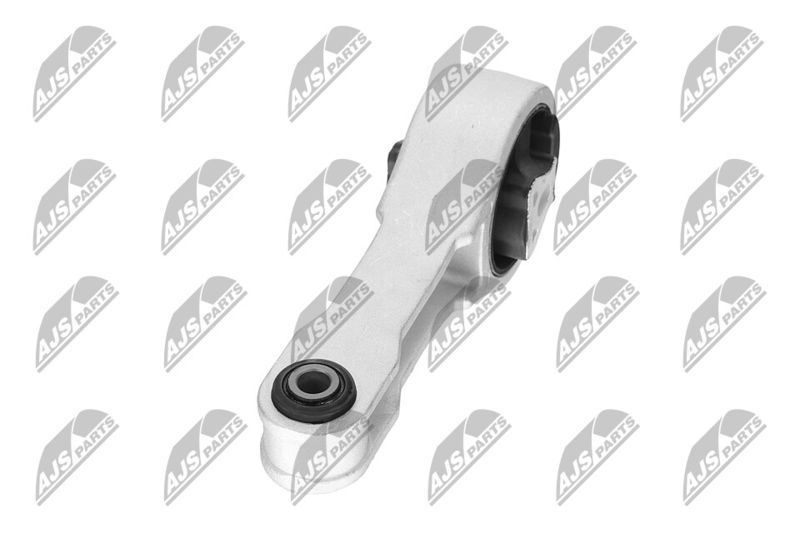 Paigutus, Mootor, NTY ZPS-CH-109