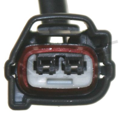 273-20332_4.JPG