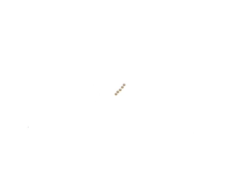 BOSCH F00ZC99750 Repair Kit, common rail system