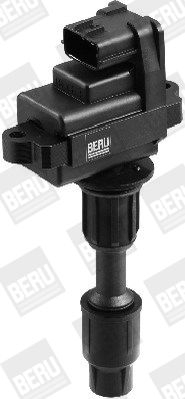 BorgWarner (BERU) ZSE074 Ignition Coil