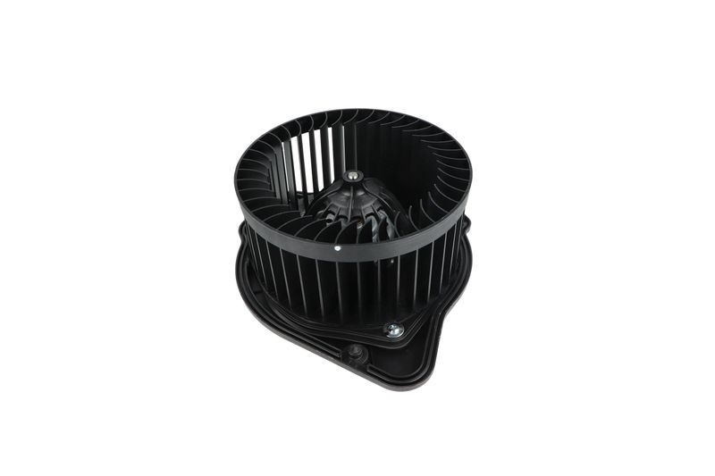 Salongipuhur, NRF 34136